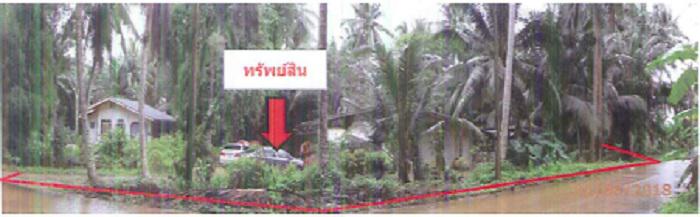 61 หมู่ 10  ท่าแซะ ท่าแซะ ชุมพร