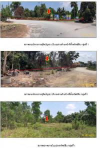 ขายที่ดินเปล่า