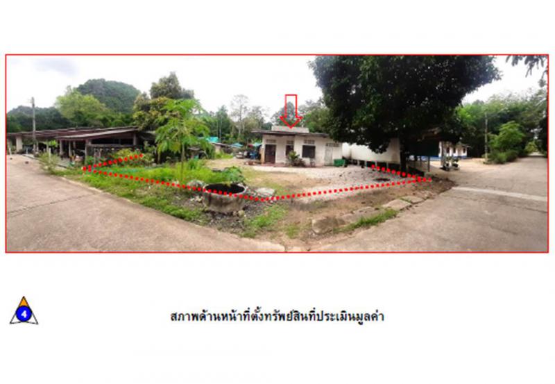 ท่ามะพลา หลังสวน ชุมพร