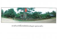 ขายที่ดินพร้อมสิ่งปลูกสร้าง