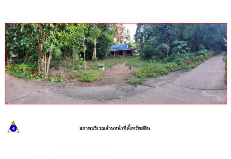 บางมะพร้าว หลังสวน ชุมพร