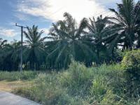 ขายที่ดินว่างเปล่า